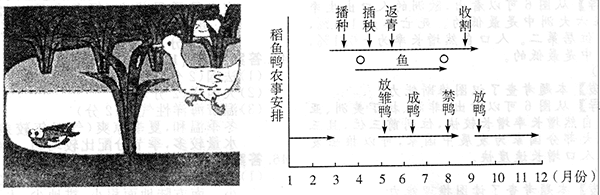 2015年成考高起点历史地理真题