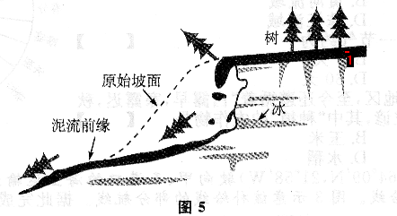 2017年成人高考高起点历史地理真题试题