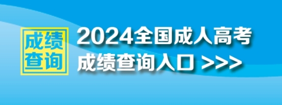 2024年成人高考成绩查询